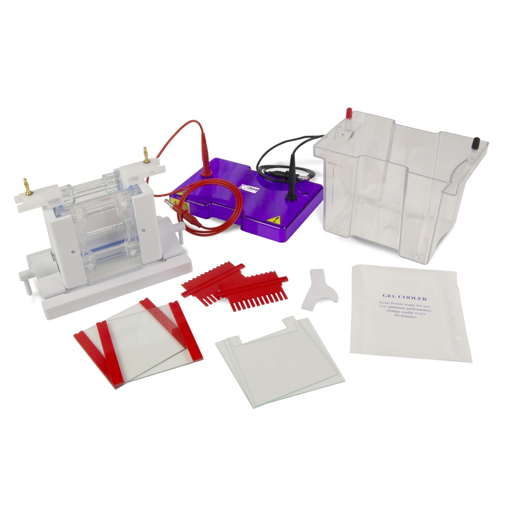  Mini Dual Vertical Gel Electrophoresis Tank 10 x 10cm. Complete with, 2 Sets of Glass Plates, 1mm Thick Bonded Spacers, 2 x 12 Sample, 1mm Thick Combs, CLAMP VERSION